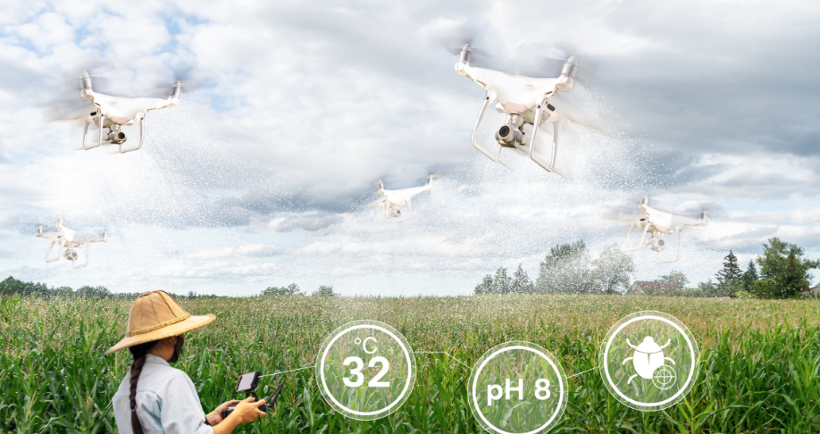 Artificial Intelligence in Agricultural Sustainability